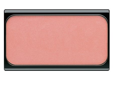 Blusher magnetyczny róż do policzków 10 Gentle Touch 5g Online Hot Sale