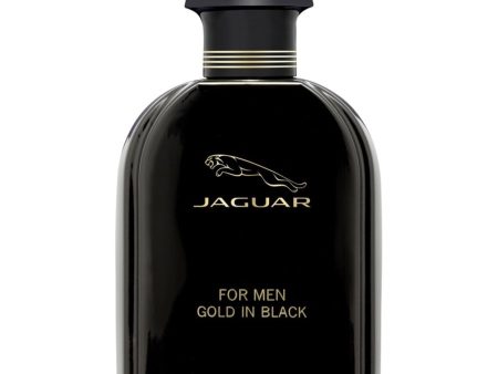 Gold In Black For Men woda toaletowa spray 100ml For Sale