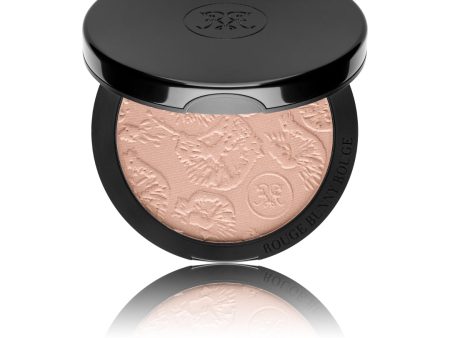 Highlighting Powder puder rozświetlający 067 Sweet To Touch 10.5g Fashion