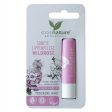 Lip Care naturalny ochronny balsam do ust z olejkiem z dzikiej róży 4.8g Discount